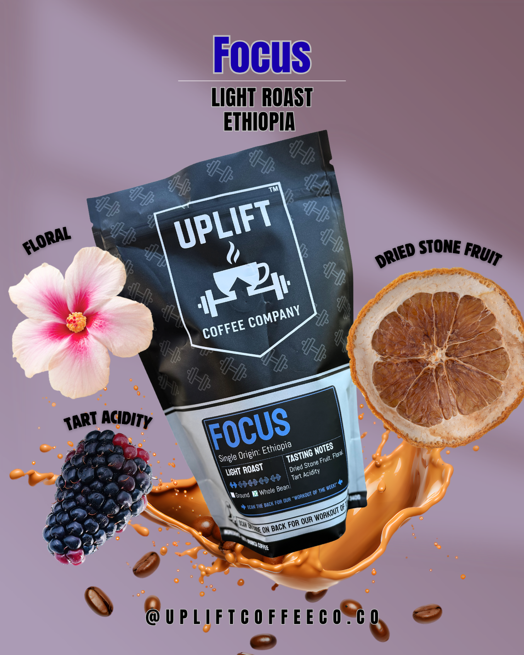 Focus - Light Roast