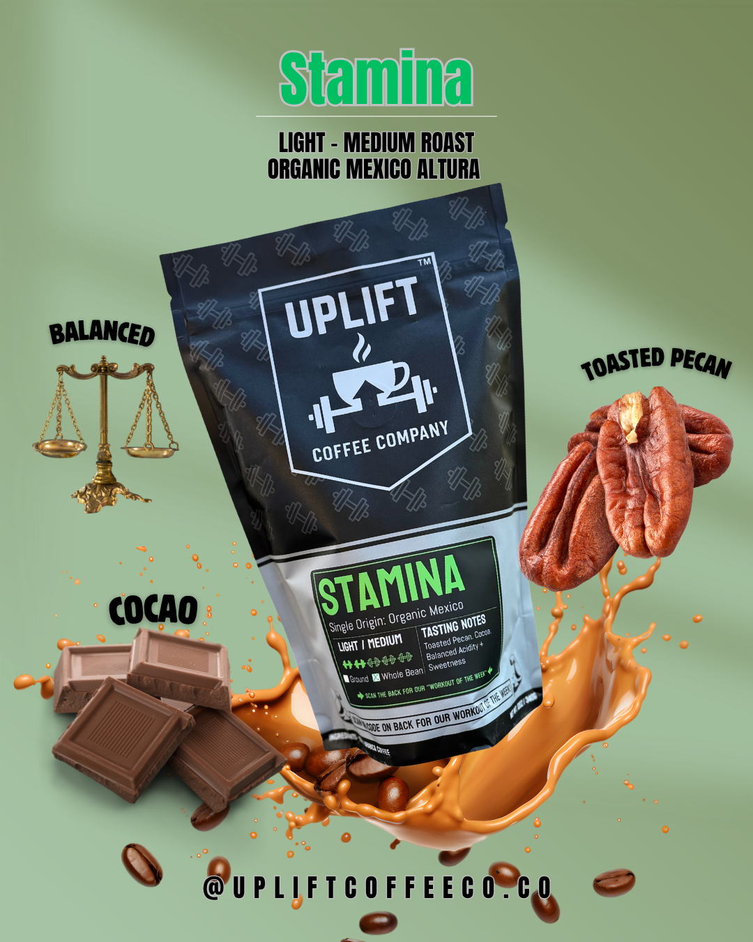 Stamina - Organic - Light/Medium Roast