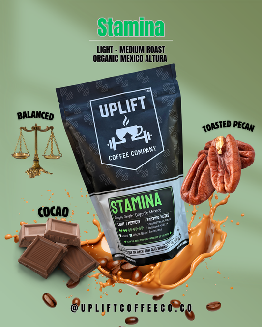 Stamina - Organic - Light/Medium Roast